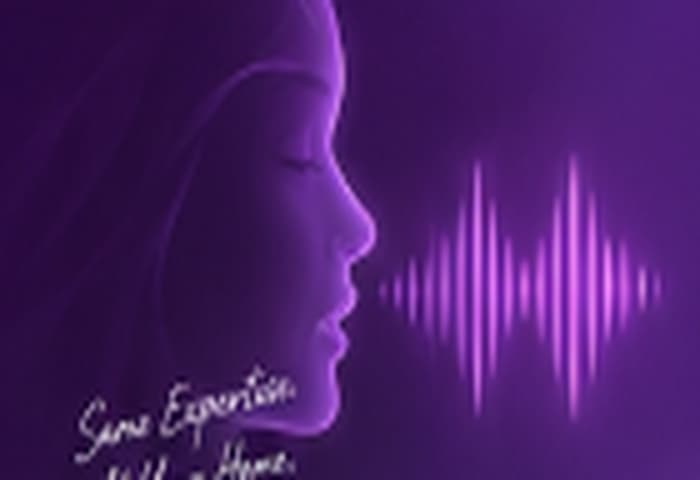 Voice Frequency Waveform