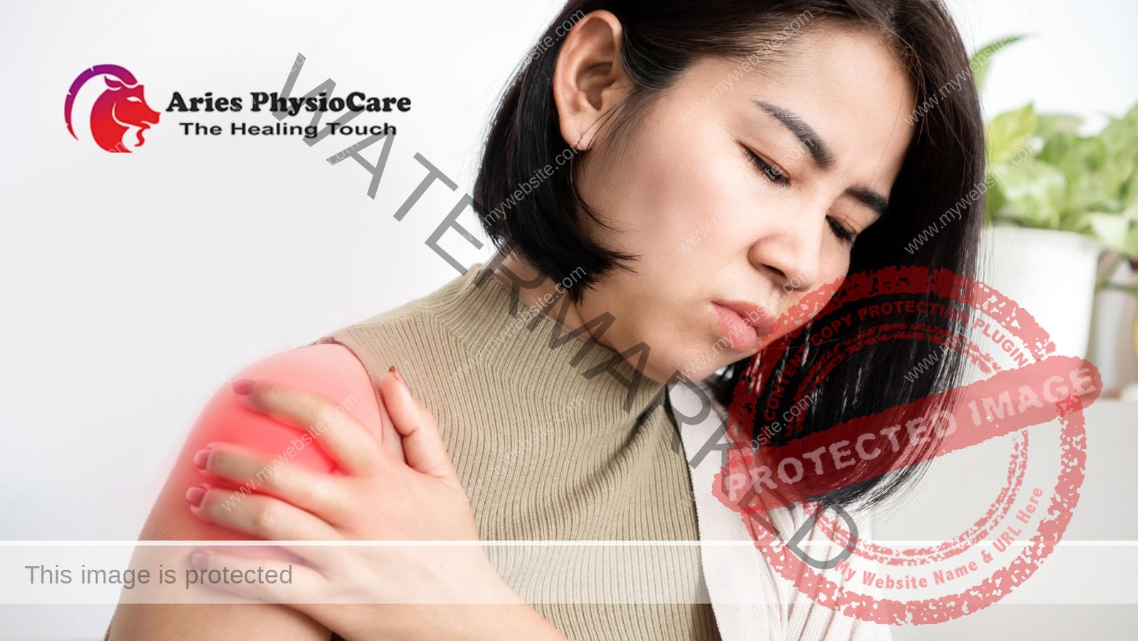 Rotator Cuff Injuries And Rehabilitation: A Guide To Aries Physiocare'S Physiotherapy Service