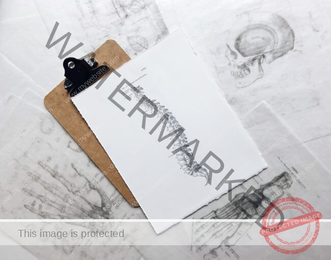 brown and black clipboard with white spinal cord print manual