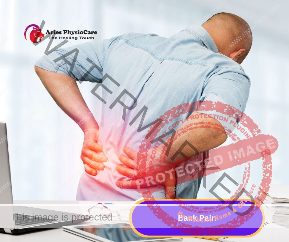 Back Pain Back Pain