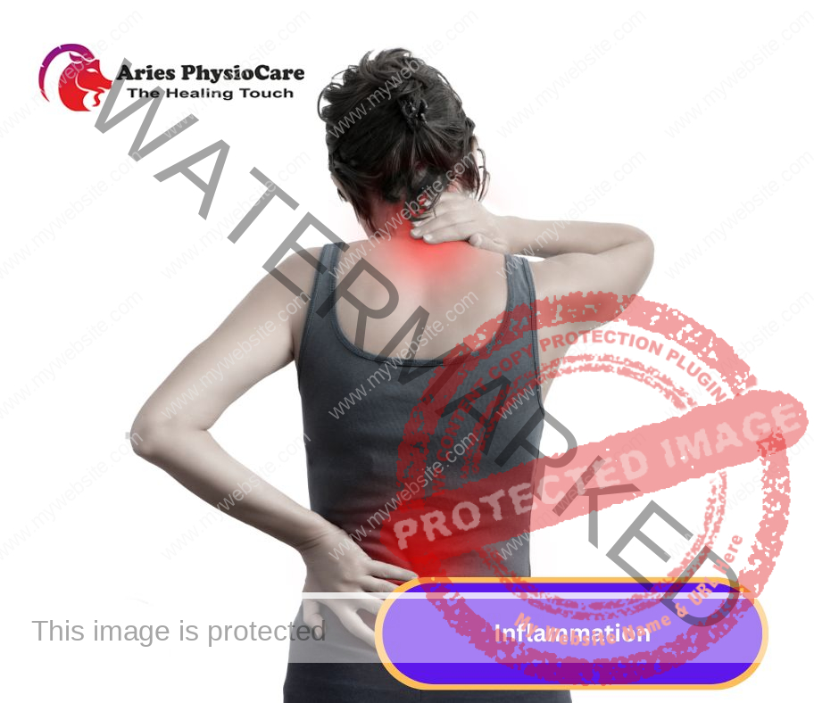 Inflammation Inflammation