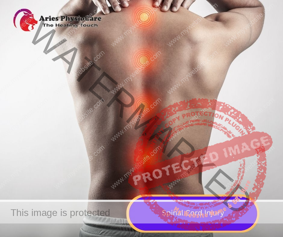 Spinal Cord Injury Spinal Cord Injury