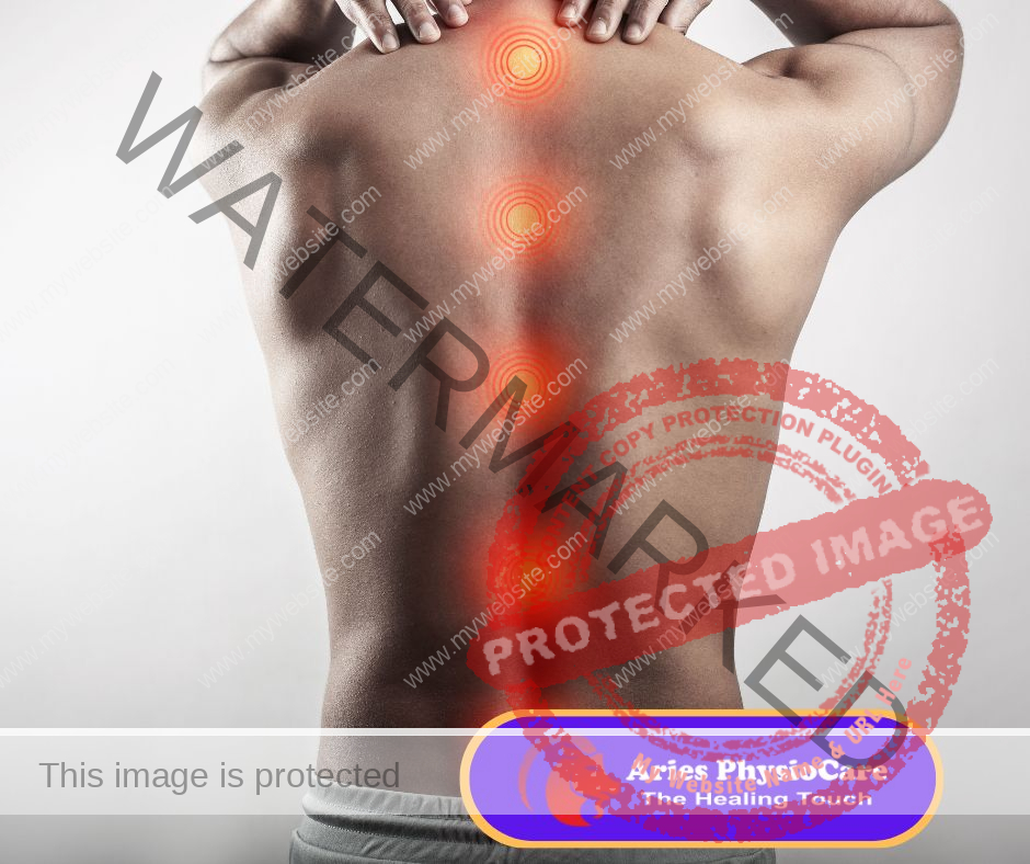 Spinal Injury Rehabilitation Spinal Injury Rehabilitation